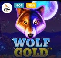 Wolf Gold at Lets Lucky